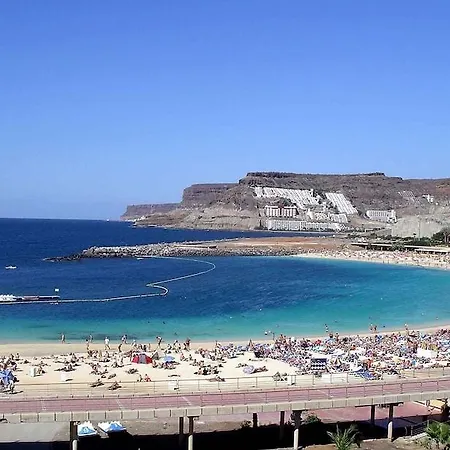 Chatur Palmera Mar Амадорес