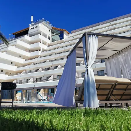 Chatur Palmera Mar Amadores