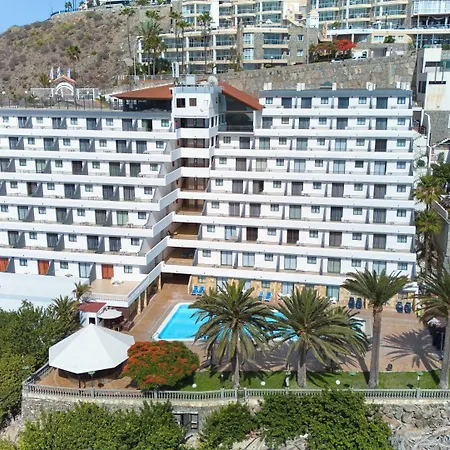 Chatur Palmera Mar Amadores