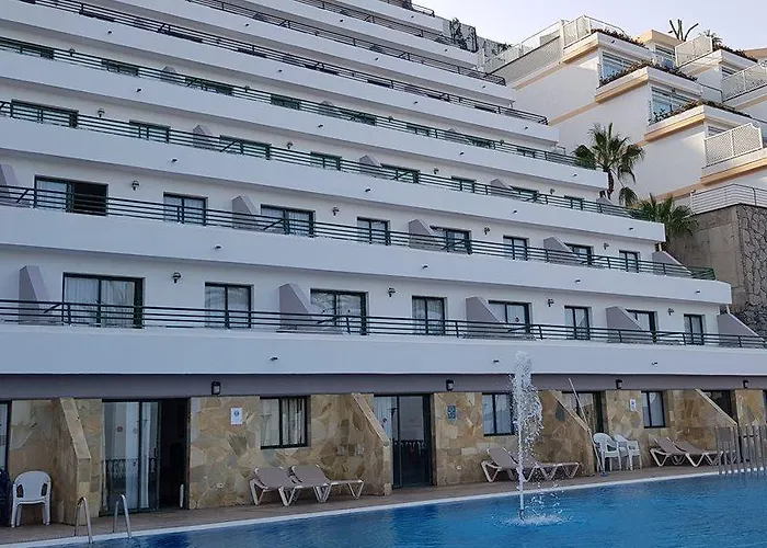 Chatur Palmera Mar Amadores