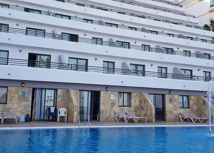 Chatur Palmera Mar Amadores