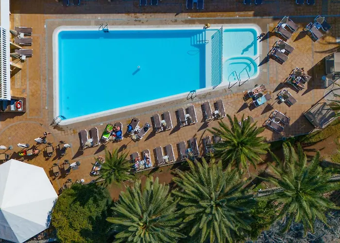 Chatur Palmera Mar Amadores