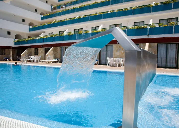 Chatur Palmera Mar Amadores