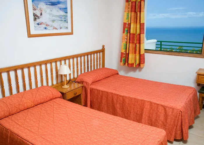 Chatur Palmera Mar Amadores