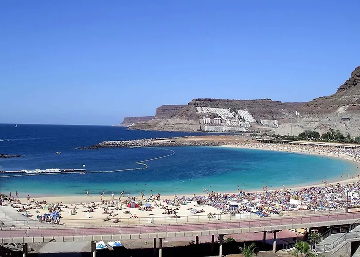 Chatur Palmera Mar Amadores