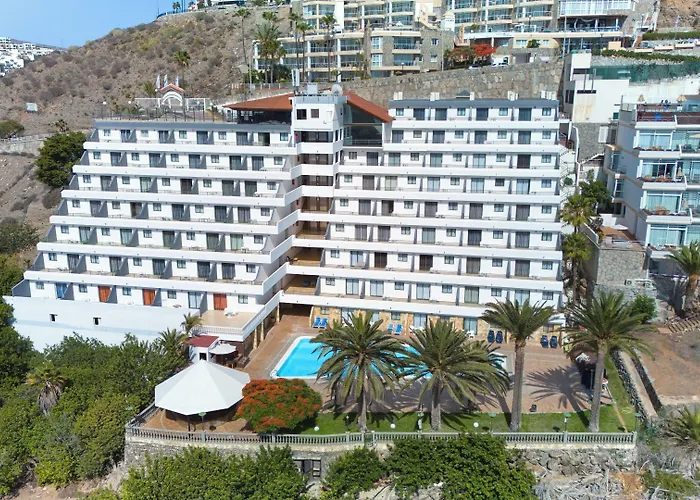 Chatur Palmera Mar Amadores