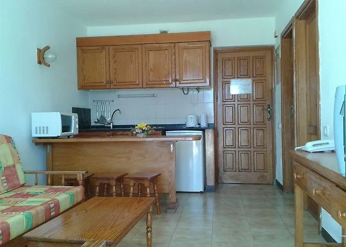 Chatur Palmera Mar Amadores